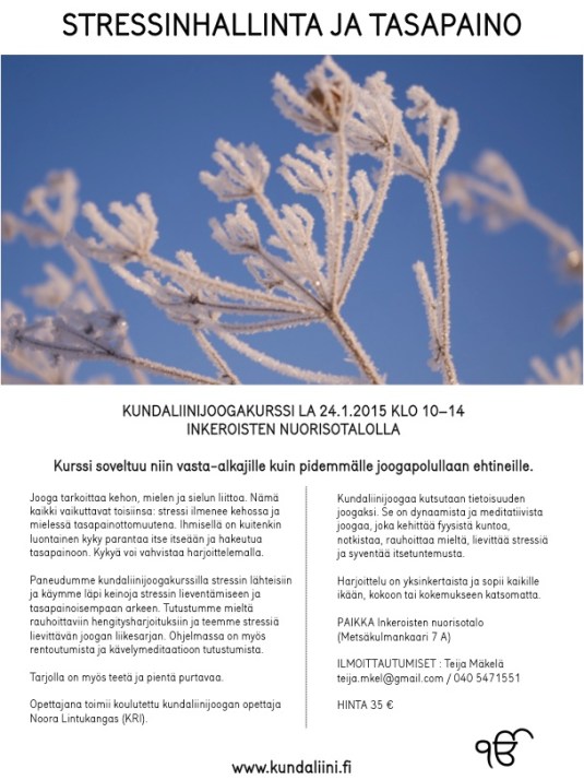 2015_01_Inkeroinen_tasapaino