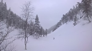 WP_20160116_10_34_59_Pro