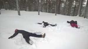 WP_20160116_11_26_16_Pro