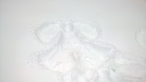 WP_20160116_11_27_54_Pro