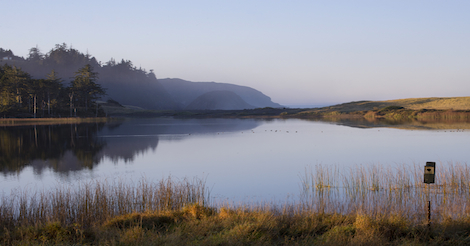 jarvimaisema_skaalattu