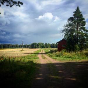 13687200_186066828473444_2090947305_n