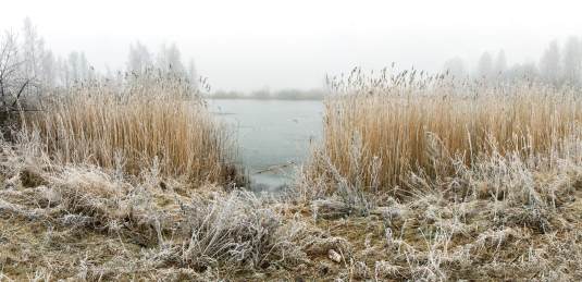 Early winter morning at the lake panorama