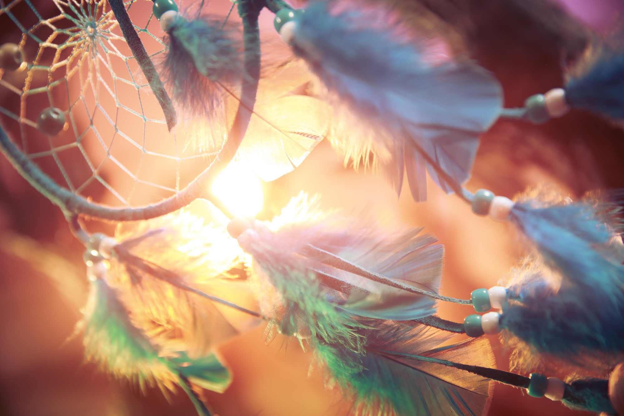 dreamcatcher on a forest at sunset